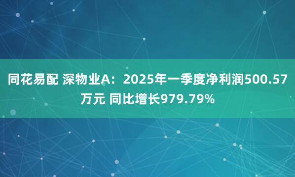 同花易配 深物业A：2025年一季度净利润500.57万元 同比增长979.79%