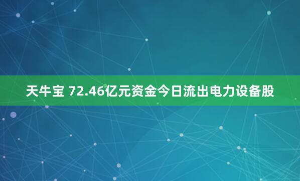 天牛宝 72.46亿元资金今日流出电力设备股