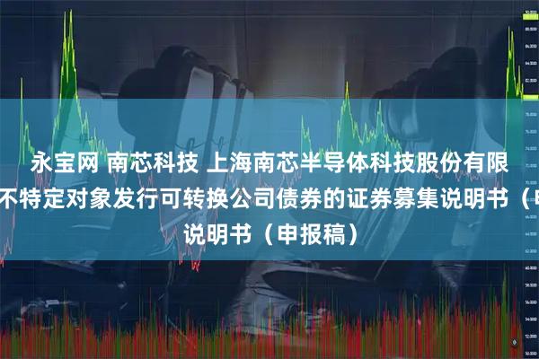 永宝网 南芯科技 上海南芯半导体科技股份有限公司向不特定对象发行可转换公司债券的证券募集说明书（申报稿）
